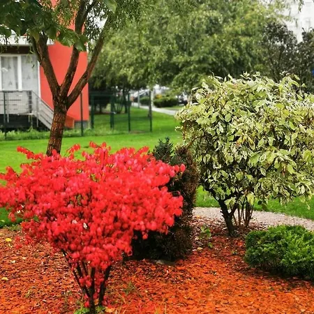 Richy Apartment Brasov