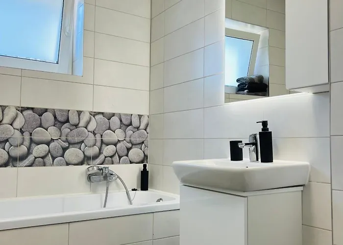 Apartment Richy Brasov